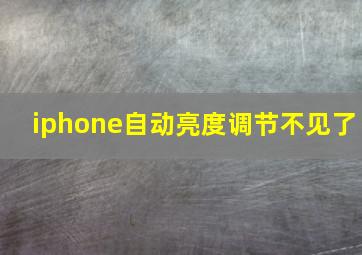 iphone自动亮度调节不见了