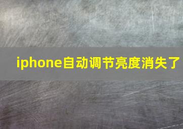 iphone自动调节亮度消失了