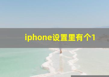 iphone设置里有个1