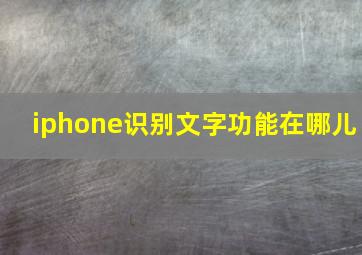 iphone识别文字功能在哪儿