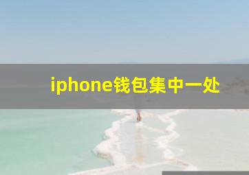 iphone钱包集中一处