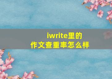 iwrite里的作文查重率怎么样