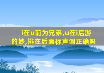 i在u前为兄弟,u在i后游的妙,排在后面标声调正确吗