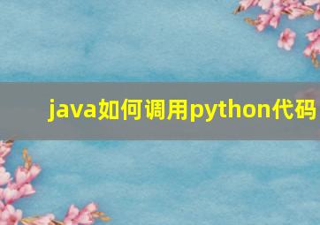 java如何调用python代码