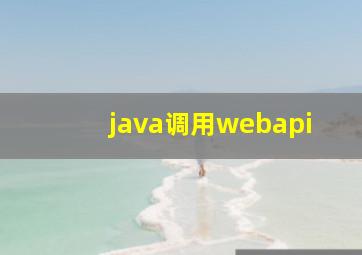 java调用webapi