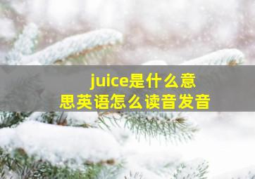 juice是什么意思英语怎么读音发音