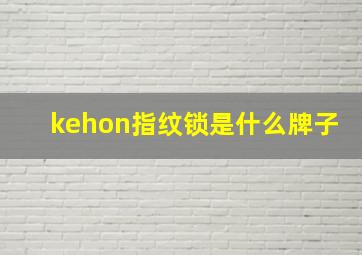 kehon指纹锁是什么牌子