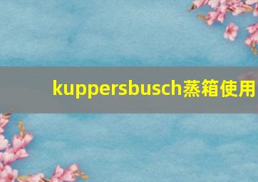 kuppersbusch蒸箱使用