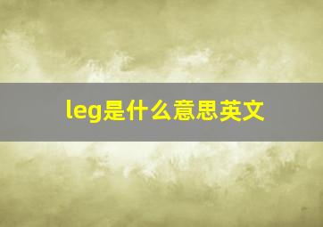 leg是什么意思英文