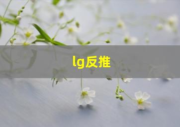 lg反推