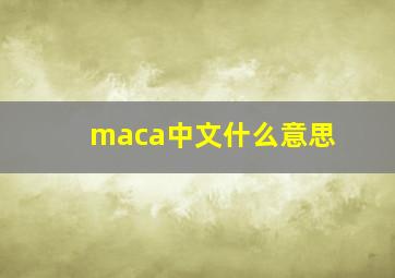 maca中文什么意思