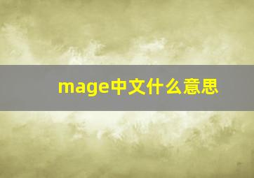 mage中文什么意思