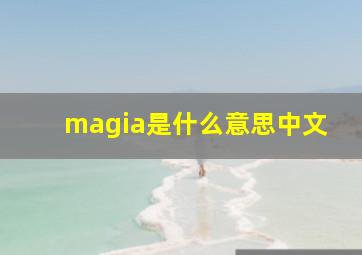 magia是什么意思中文