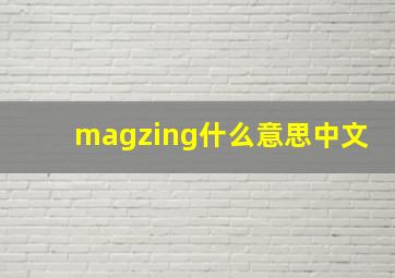 magzing什么意思中文