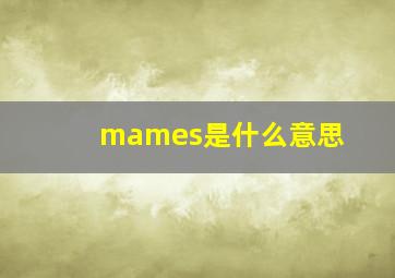 mames是什么意思