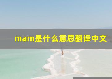 mam是什么意思翻译中文