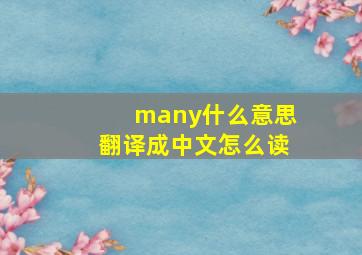 many什么意思翻译成中文怎么读