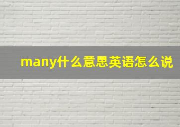 many什么意思英语怎么说