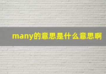 many的意思是什么意思啊