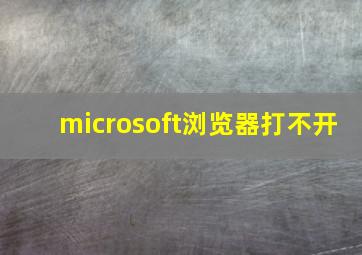 microsoft浏览器打不开