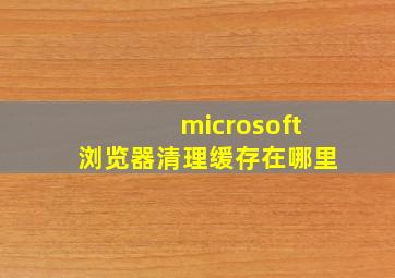 microsoft浏览器清理缓存在哪里