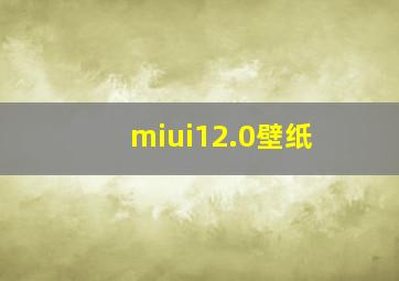 miui12.0壁纸