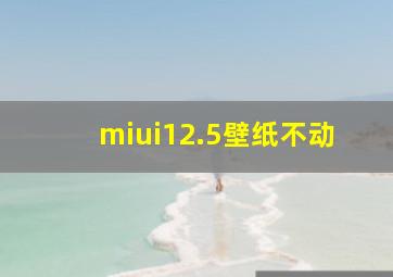 miui12.5壁纸不动