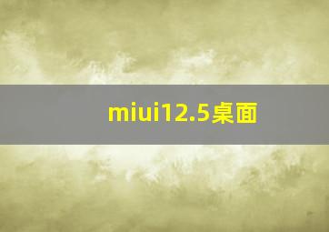 miui12.5桌面