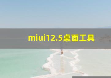 miui12.5桌面工具