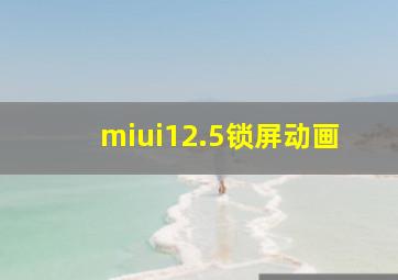 miui12.5锁屏动画