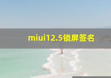 miui12.5锁屏签名