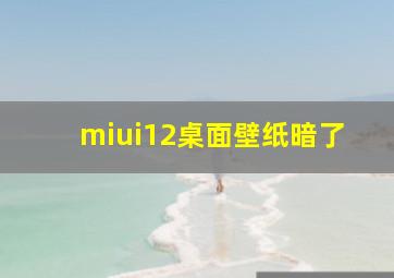 miui12桌面壁纸暗了