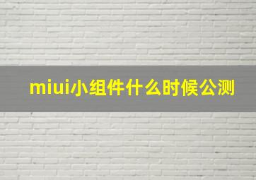 miui小组件什么时候公测