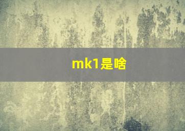 mk1是啥