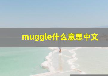 muggle什么意思中文