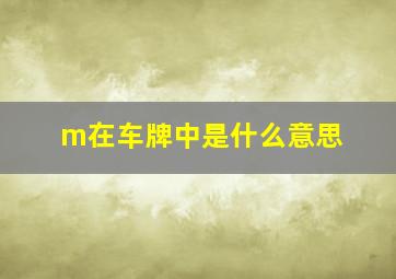 m在车牌中是什么意思