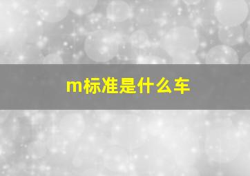 m标准是什么车