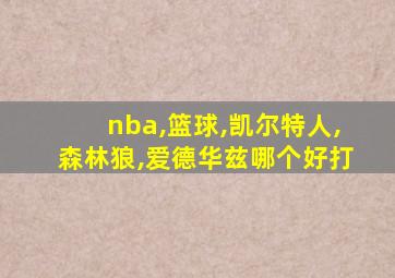 nba,篮球,凯尔特人,森林狼,爱德华兹哪个好打