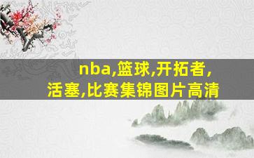 nba,篮球,开拓者,活塞,比赛集锦图片高清