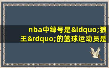 nba中绰号是“狼王”的篮球运动员是