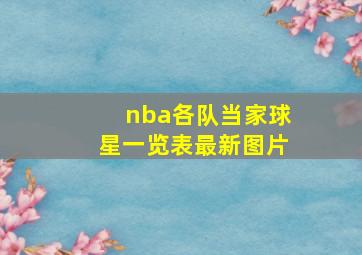 nba各队当家球星一览表最新图片