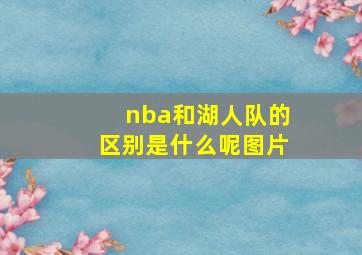 nba和湖人队的区别是什么呢图片