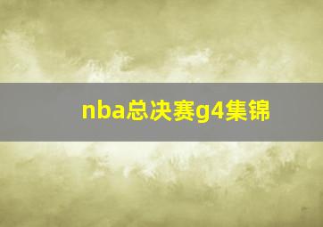 nba总决赛g4集锦