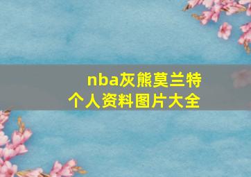 nba灰熊莫兰特个人资料图片大全