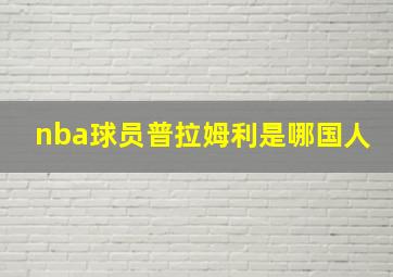 nba球员普拉姆利是哪国人