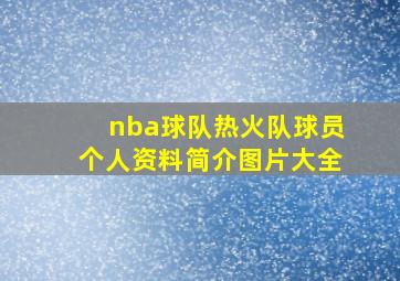 nba球队热火队球员个人资料简介图片大全