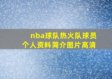 nba球队热火队球员个人资料简介图片高清