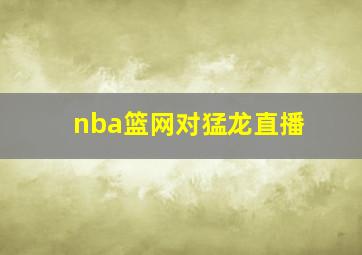 nba篮网对猛龙直播