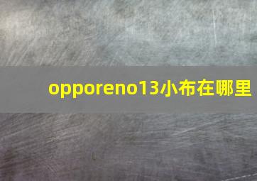 opporeno13小布在哪里