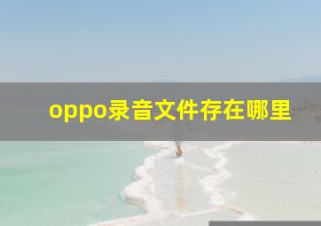 oppo录音文件存在哪里